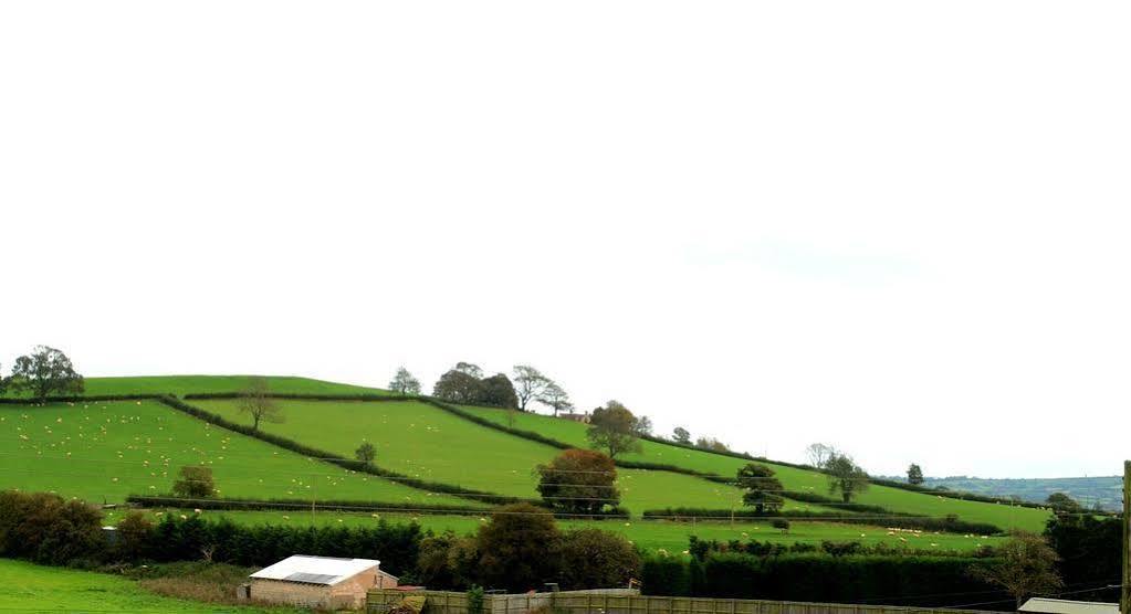 The Cannards Well Shepton Mallet Eksteriør bilde